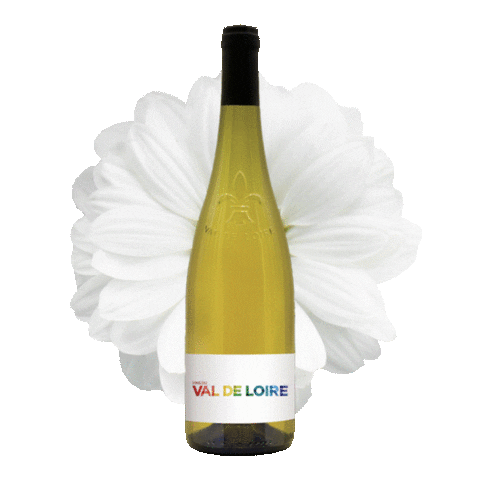 Loire Valley Wines Sticker