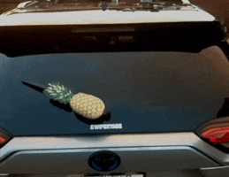 Pineapple Swingers GIF by WiperTags Wiper Covers