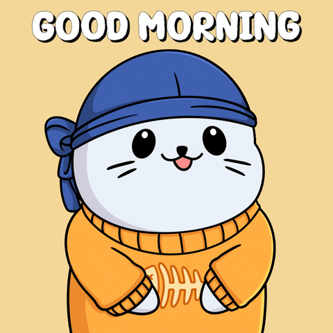 Good Morning Hello GIF by Sappy Seals
