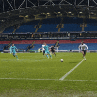 Sport Soccer GIF by Bolton Wanderers FC