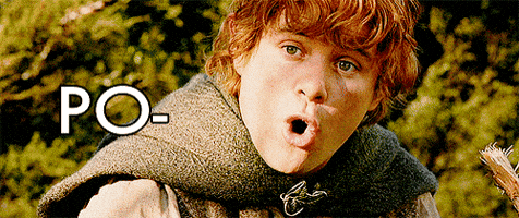 the lord of the rings hobbit GIF the lord of the rings hobbit GIF
