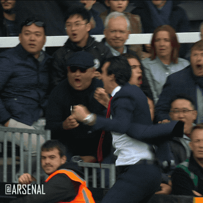 Premier League Yes GIF by Arsenal