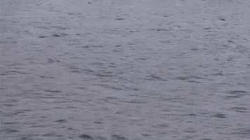 Water Babe GIF by Winkelman