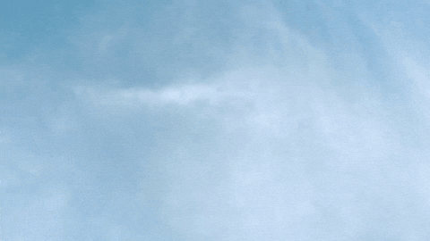 giphy.gif?cid=2154d3d76c97iacz4tek3lw2vdu0bp6902zg1zab0ulob5ic&ep=v1_gifs_search&rid=giphy.gif&ct=g