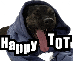 Tot GIF