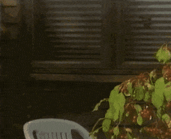 Waving Hello Goodbye GIF