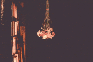 Flowers GIF