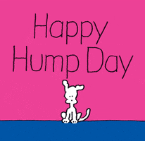 Cartoon gif. A cartoon white dog, set against a pink and blue background, is startled by the appearance of a large lump beneath its feet. Text, "Happy Hump Day."