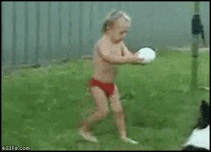 fall leads GIF