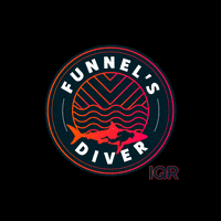 Diver Funnels GIF by Instituto QR