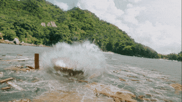 Shark Omg GIF by Warner Bros. Deutschland