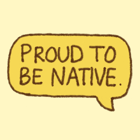Proud Native American GIF by Katharine Kow