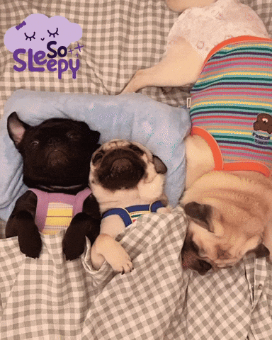 Sleepy Dream GIF