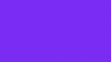 Pigeon GIF