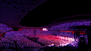 Stadium Australia GIF