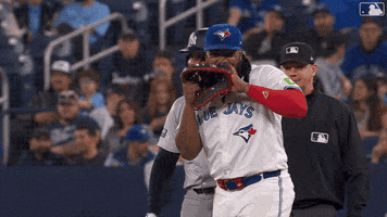 Sport Smile GIF by MLB