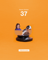 200.gif?cid=fc005b08d46b2d7bf40b6eba253b52506154beaabb7e5055&rid=200.gif&ct=g