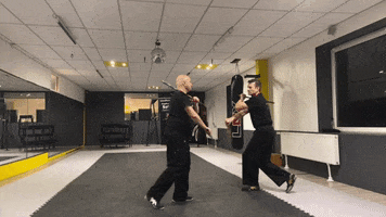 Kampfkunstschule-SoWi GIF