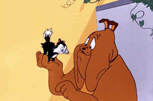 Loony Toons GIF