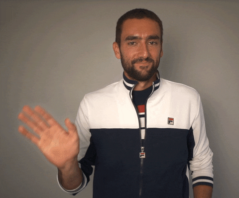 Giphy - marin cilic hello GIF by Miami Open