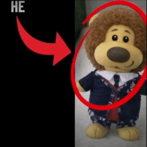 He Made A Statement GIF by colegioroth