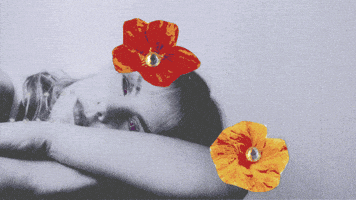 Stop Motion Artist GIF