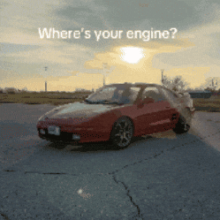 Car Hamster GIF