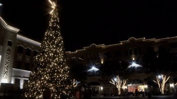 christmas tree GIF by Hallmark Movies & Mysteries