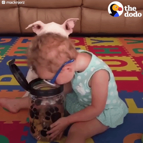 dog baby GIF by The Dodo