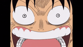flying one piece GIF by Funimation