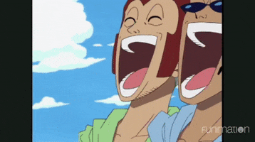 happy one piece GIF by Funimation