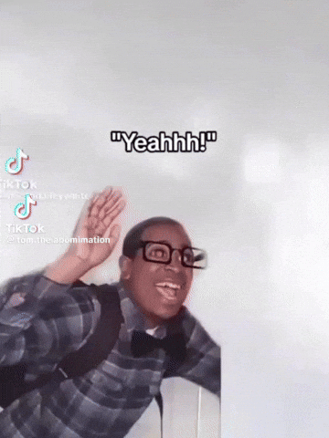 Pair Of Shoes GIF