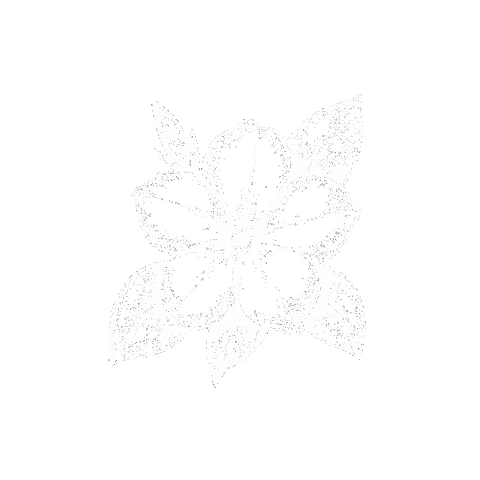 Tamoaqui Sticker by Masiel Mateo