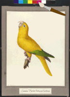200.gif?cid=fc005b08a2878dac59ba655943612109e0cc31edf3b91438&rid=200.gif&ct=g