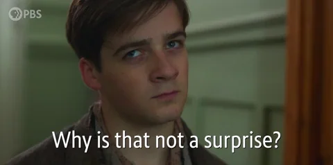 Season 2 Surprise GIF by PBS