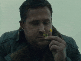 Ryan Gosling GIF