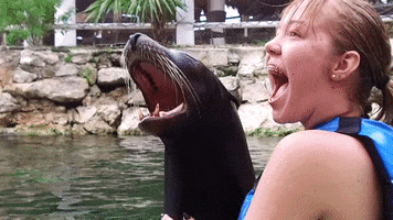 sea lion smile GIF by Dolphin Discovery