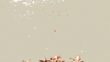 The Moment Of Truth Ella At The Coliseum GIF by Ella Fitzgerald