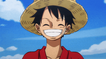 One Piece GIF by Toei Animation