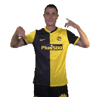 Celebrate Vincent Sierro Sticker by BSC Young Boys