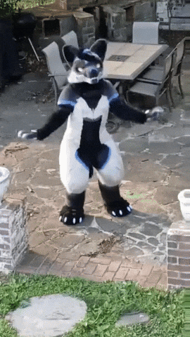 Armiegen GIF
