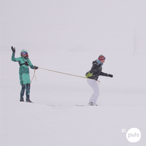 Ski Gifs Get The Best Gif On Giphy