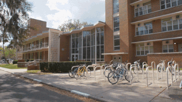 Student Campus GIF by University of Florida