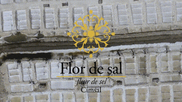 Seasalt Flordesal GIF by Cimsal