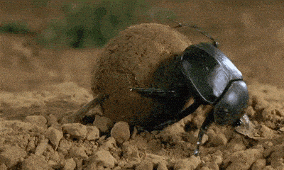 life others GIF