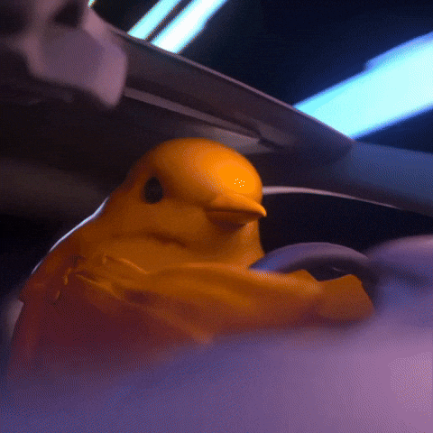 Bird GIF