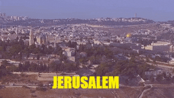 GIF by TV7 ISRAEL NEWS