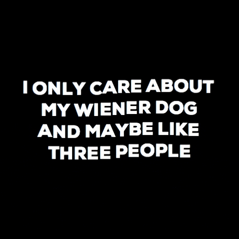 wiener dog GIF by beangoods