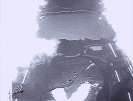 flying smackdown live GIF by WWE