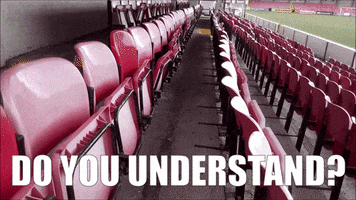 Stadium Understand GIF by Cliftonville Football Club